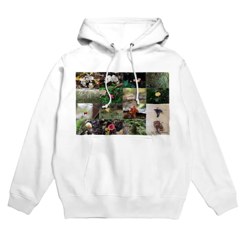 秋の森を行く Hoodie