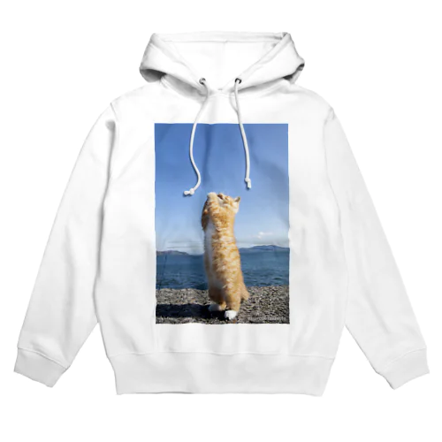 お祈り立ち猫 Hoodie