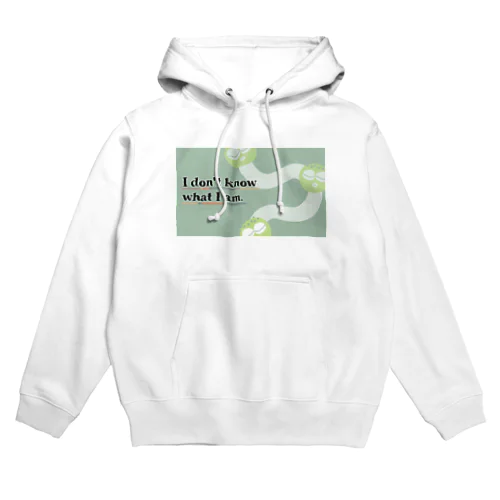 I don't know what I am Hoodie