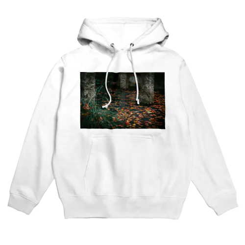 01pond Hoodie