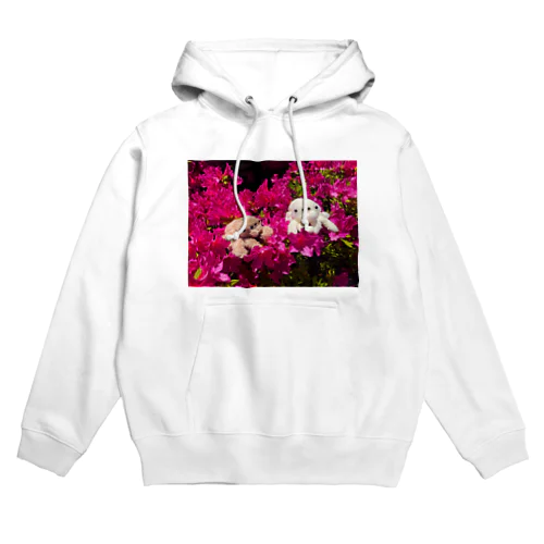 ハエトリグモ ぬいぐるみ  Hoodie