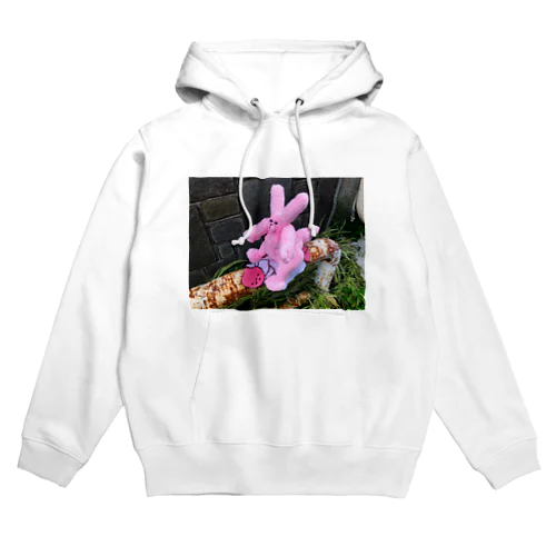 うさちゃん恐竜の赤ちゃん ぬいぐるみ  Hoodie