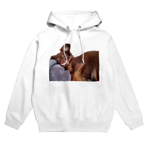 #Lovedogs Hoodie