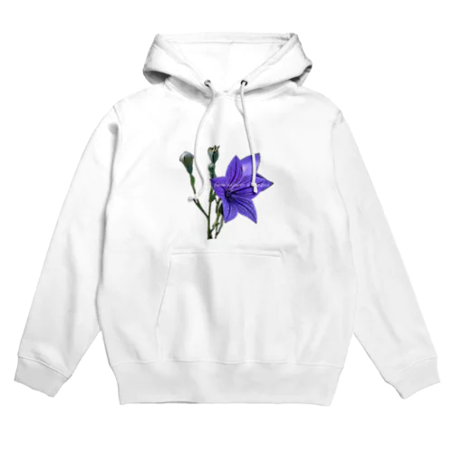 Benefactores e grazas Hoodie