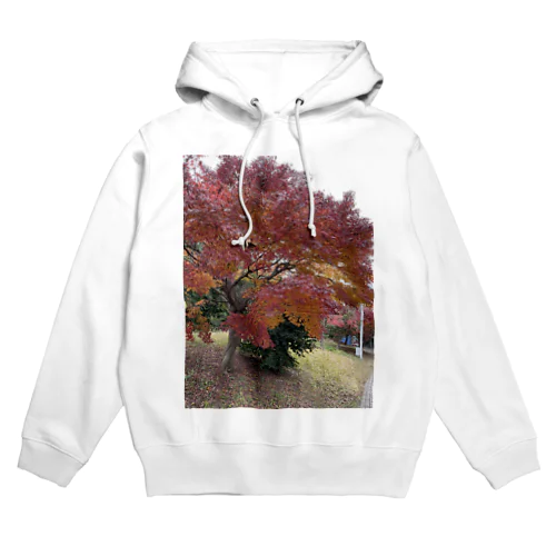 秋っぽさが残る冬part2 Hoodie