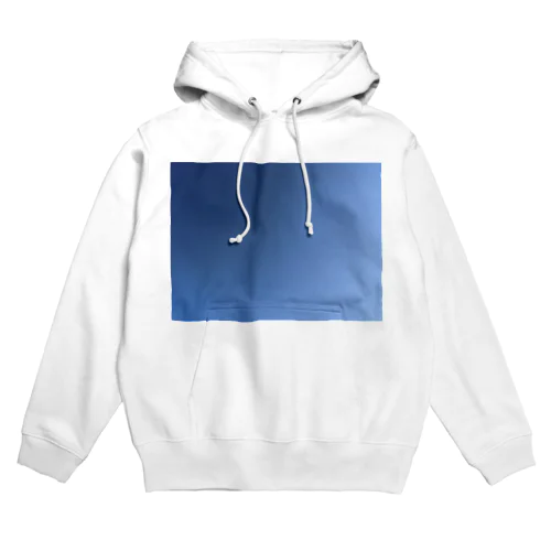 冬青空 Hoodie