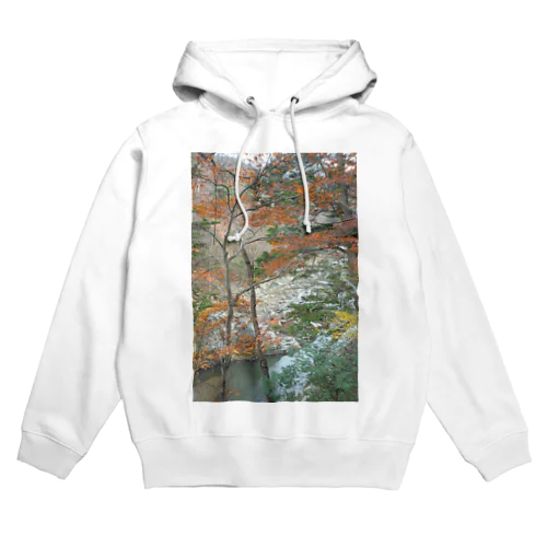 秋の渓谷 Hoodie