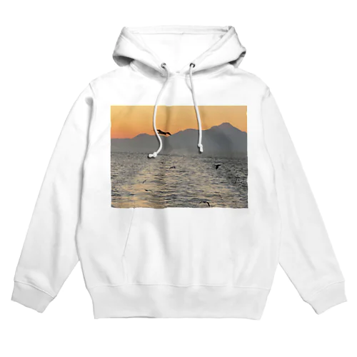 フライング　シーガル Hoodie