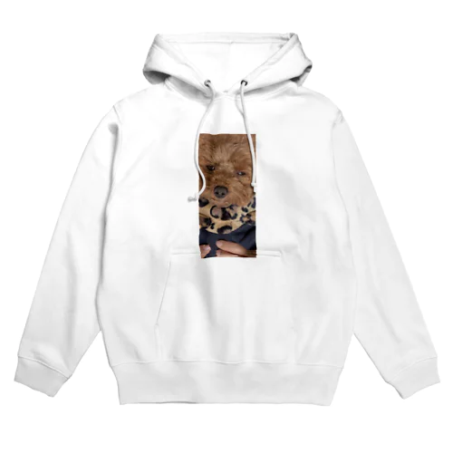 ブス顔シャンティ Hoodie