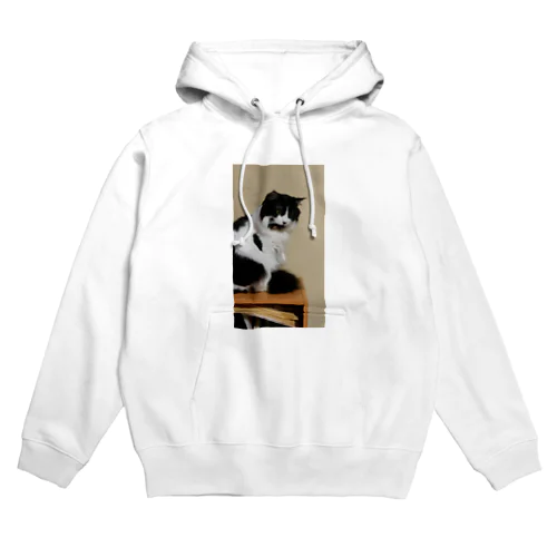 momo3 Hoodie