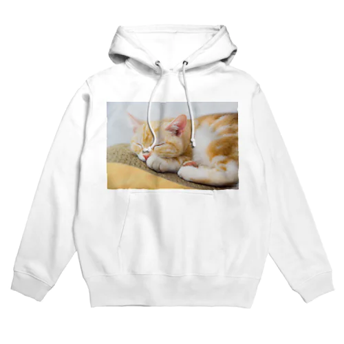 ぐっすりねこ Hoodie