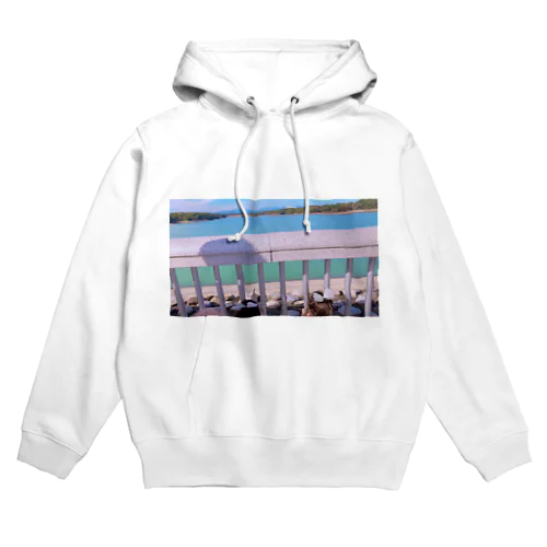 あぁ　なんだか　心がきれいになるな Hoodie