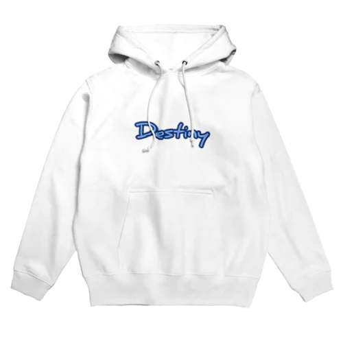 Destiny Hoodie