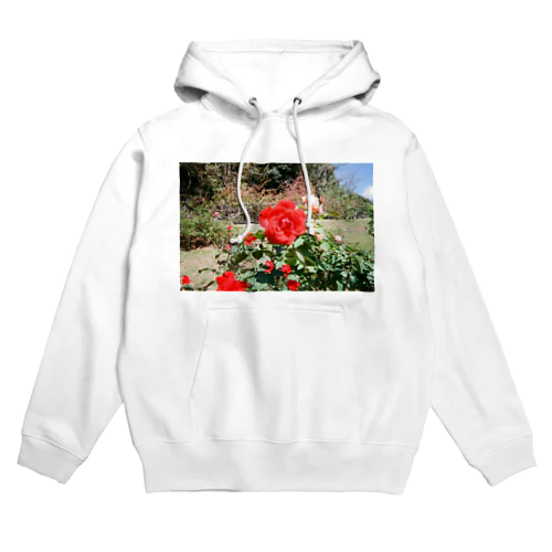 あの日の薔薇 Hoodie