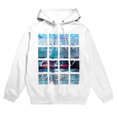 Equuleus Hoodie