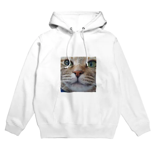 限りなく近い猫プリピ Hoodie