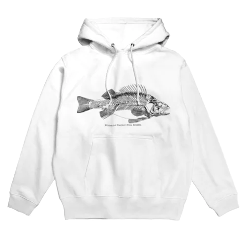 ヨーロピアンパーチ Hoodie