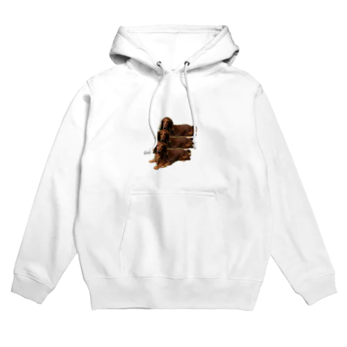 毛むくじゃらのお友達 Hoodie