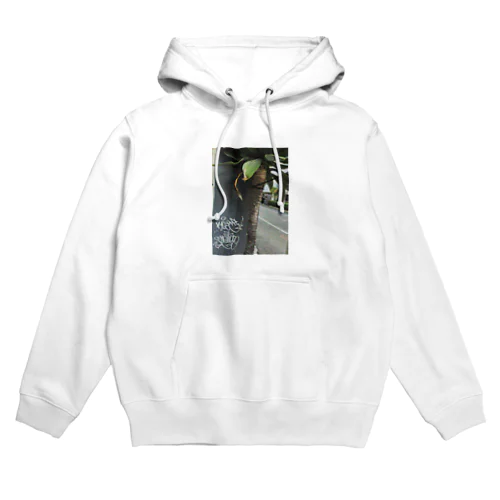 street green Hoodie