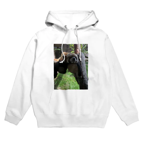 lesser panda  Hoodie