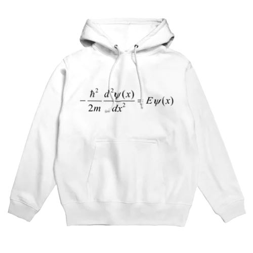 1次元の時間を含まないシュレディンガー方程式 Hoodie