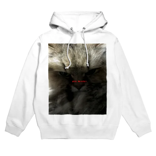 おれねむい Hoodie