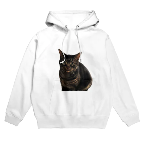 何かを訴える猫 Hoodie