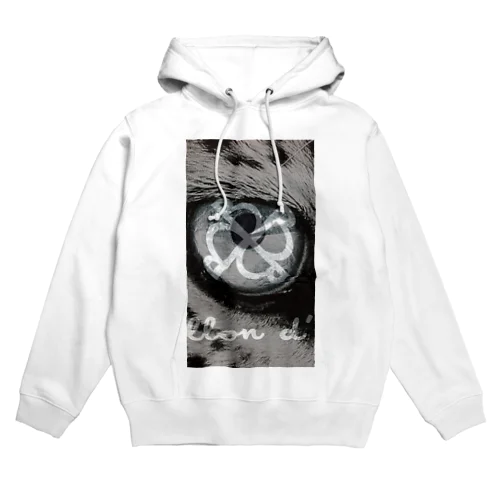 Ballond’Or 2012 Hoodie