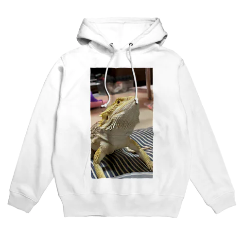 フトアゴヒゲトカゲのパック Hoodie