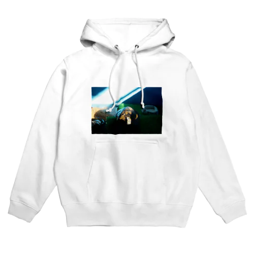 ニホンイシガメのミントちゃん Hoodie