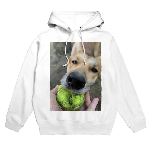 ほしがる犬 Hoodie