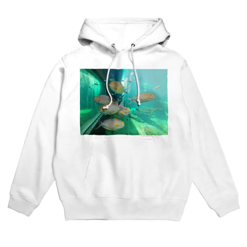 SAKANA Hoodie