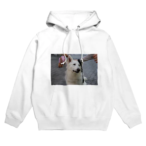 かしこそうないぬ Hoodie