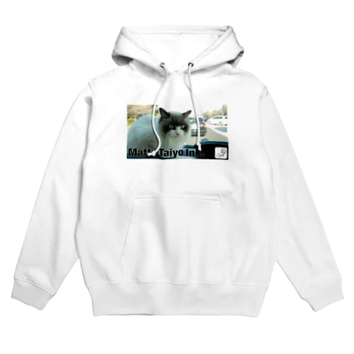 Matty Taiyo Ink. Hoodie