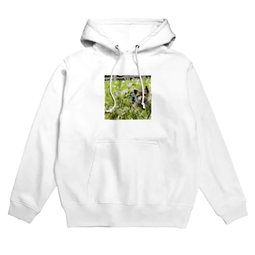 Dandelion Ume Hoodie