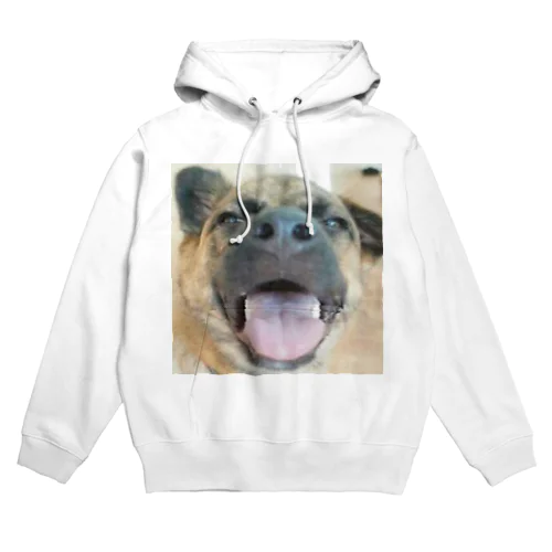 スッポン犬 Hoodie