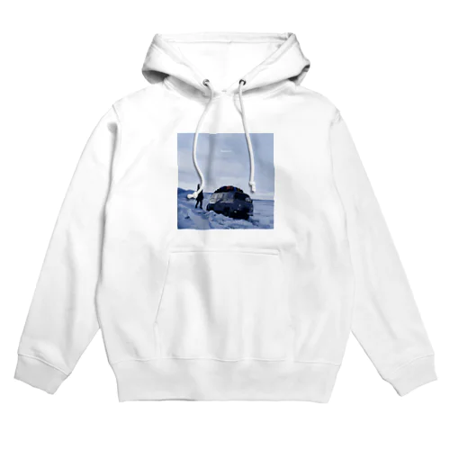 freezing Hoodie