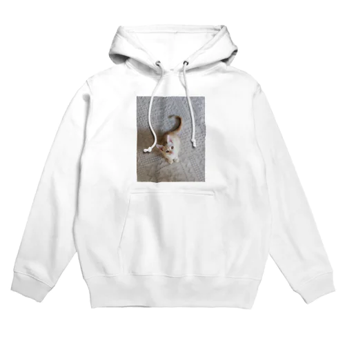 遊んでほしいねこ Hoodie