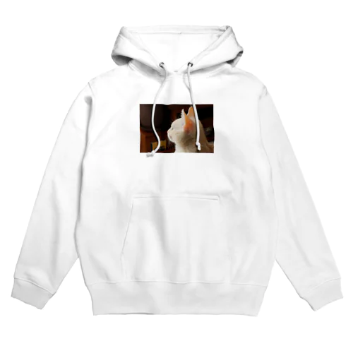 アンテナぴんぴんねこ Hoodie