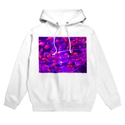 金魚 Hoodie