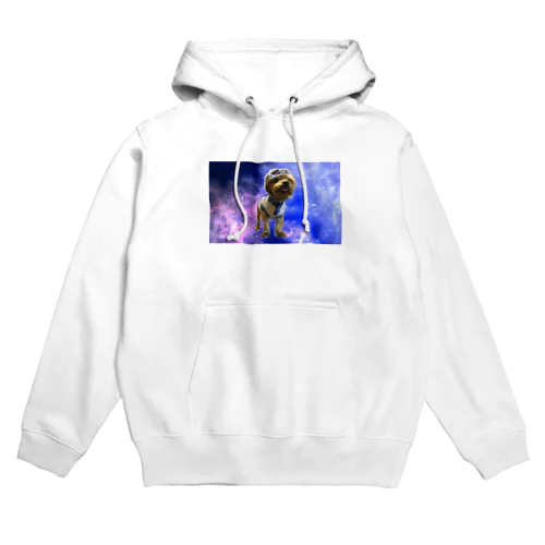 Space Ume Hoodie