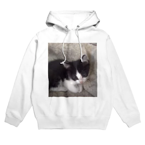 おすまし猫 テールくん Hoodie