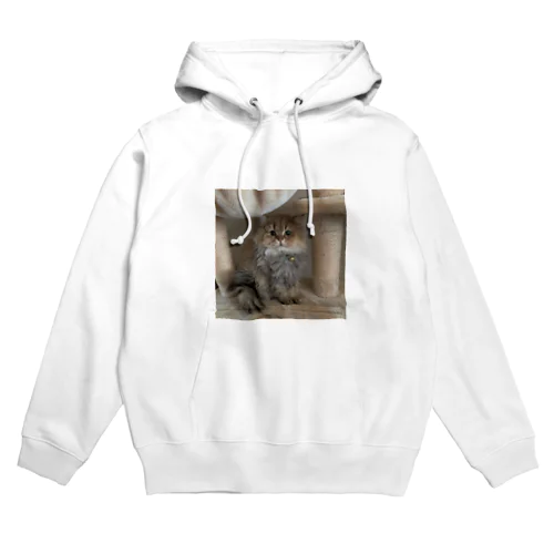 Lily6 Hoodie