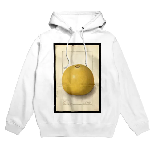 Aegle marmelos  Hoodie