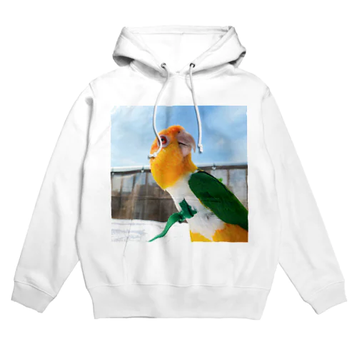 シロハラインコSHIRO〔KIITODAY〕 Hoodie