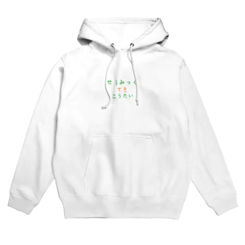 せらみっくてきこうたい Hoodie