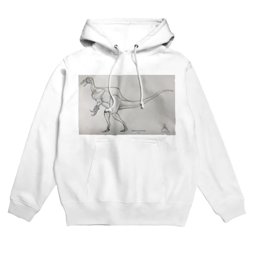 テラトスミルス・ミラビリス Hoodie