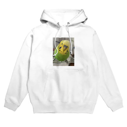 セキセイインコ1 Hoodie