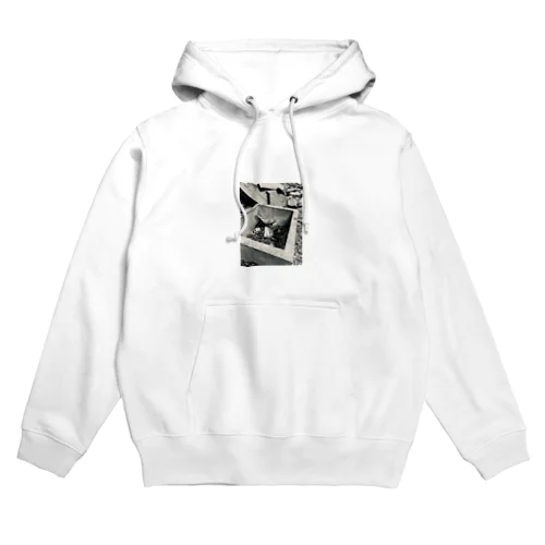 古井戸 Hoodie