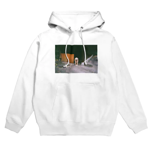 犬 Hoodie